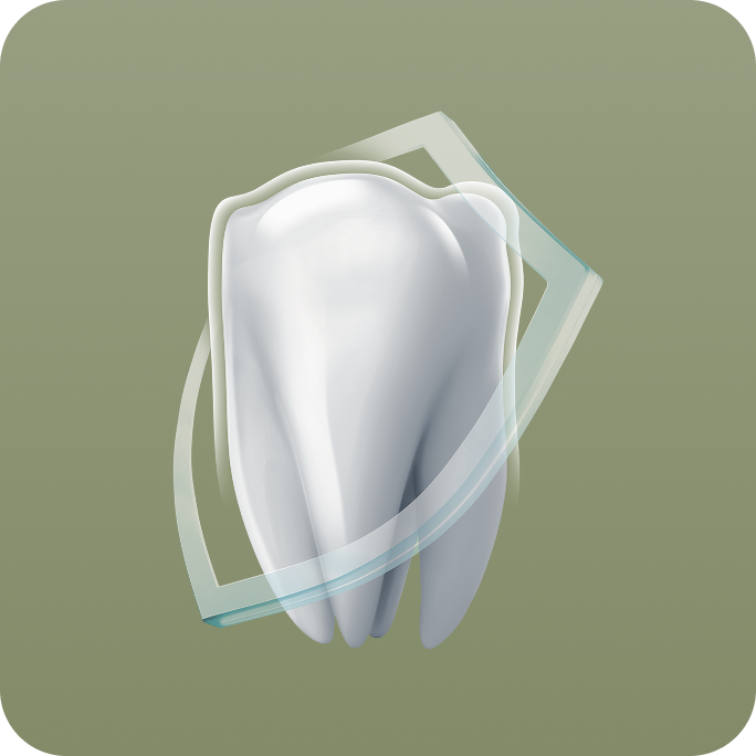 진심을보는치과의 특별함